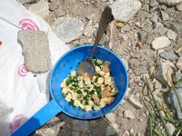 Замечательный луковый салат. Рецепт простой: дикий лук собрать, нарезать, размять с солью, добавить приготовленный отдельно из сублимата омлет, сухари и всё это перемешать.