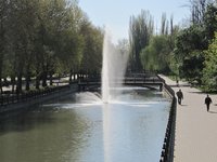 Фото 0006
