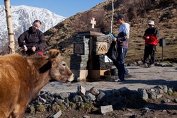 Окрестности храма Гергетис Цминда Самеба. Набираем воду из родника, отогнав коров.