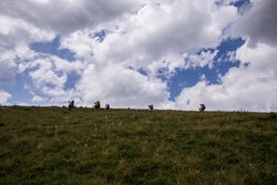 По тропе на восточной оконечности Загеданского хребта.