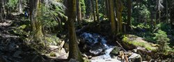 Подъём по лесу к водопадам на реке Чигордали.