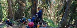 Начало подъёма к перевалу Чигордали Южный. Заповедный лес на крутых склонах долины.