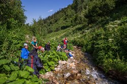 Подъём к перевалу Чигордали Южный. Вылезли из каньона в расширение долины выше второго правого притока.