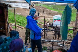 Пережидаем дождь в коше на спуске с перевала Чигордали Южный.