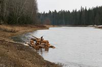 После ночи, проведённой на воде, плот всё таки не утонул.