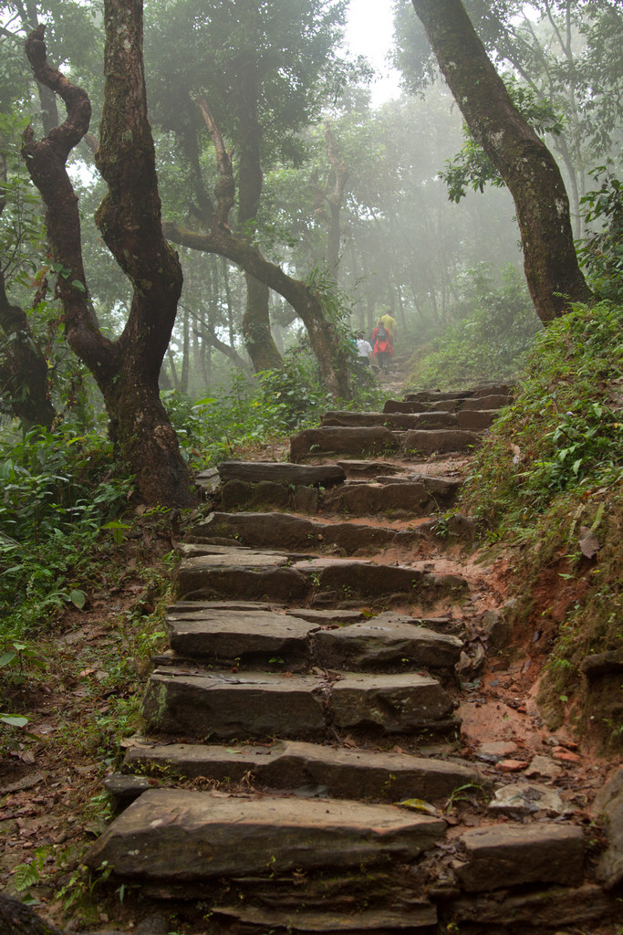 .   World Peace Pagoda. -   .
