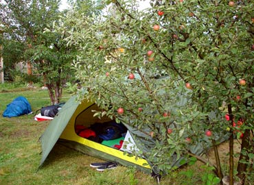 Фото 2. Утро в райском саду Turkestan Travel