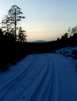 Фото 3. Дорога в верховья Тошемки. Такая она в начале