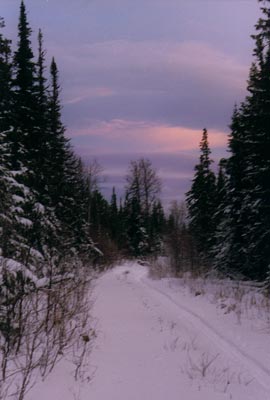 Фото 4. Дорога в верховья Тошемки. Такая она в конце