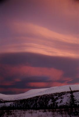 Фото 9. Вид на восток из верховьев Малой Мойвы.