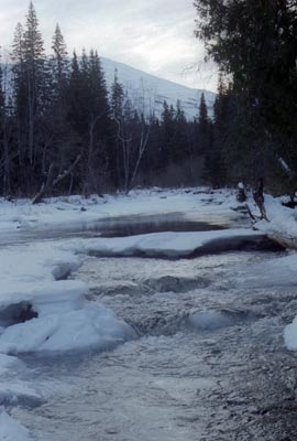Фото 14. Ручей Молебный.