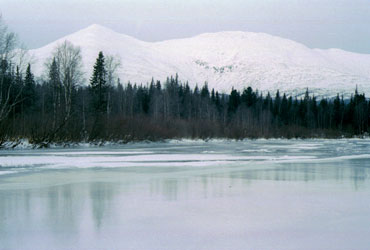 Фото 27. Голый лёд на Большой Мойве.
