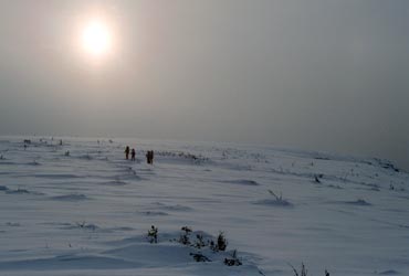 Фото 29. Траверс хребта Листвиничного.