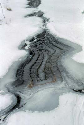 Фото 32. Ледяные узоры на замерзающих ручьях.